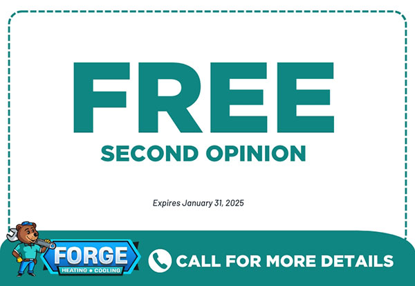 Free second opinion offer